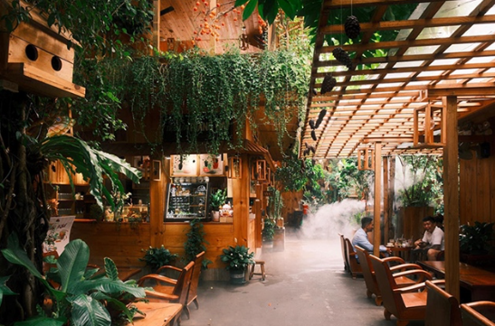 Screenshot 2025-06-20 142818